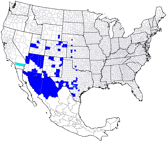 Distribution of the leafhopper Flexamia arizonensis