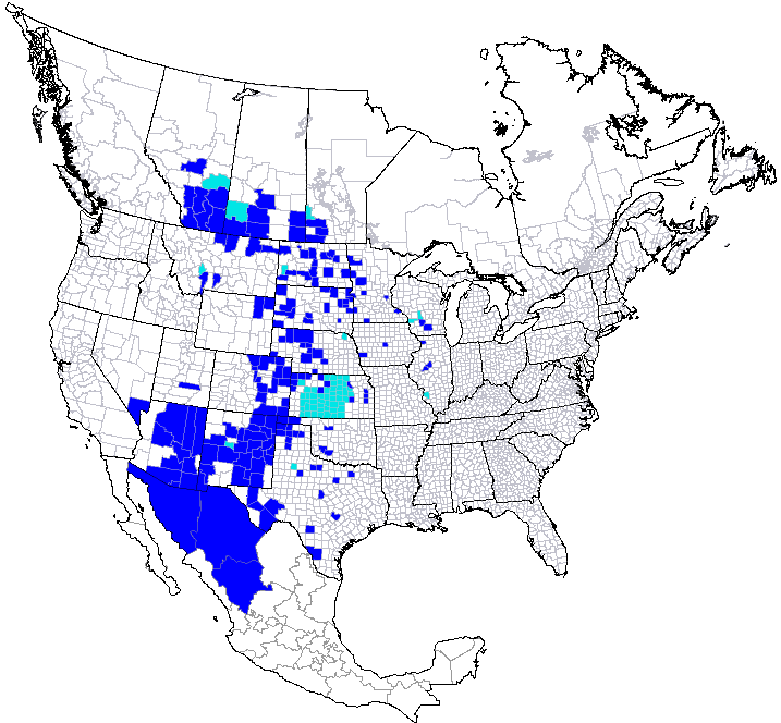 Range map of the cicadellid Flexamia abbreviata