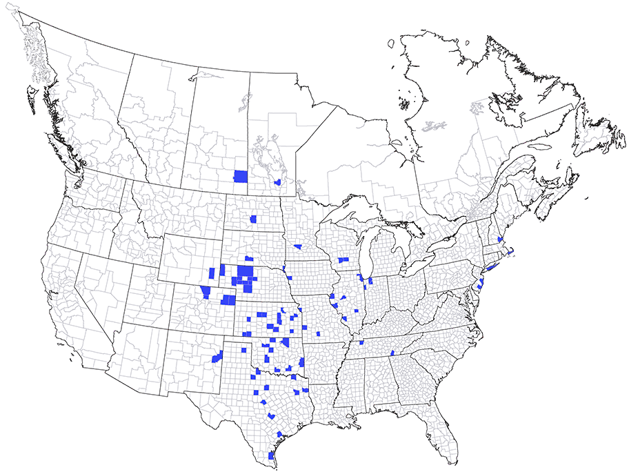 range map of the cicadellid Flexamia atlantica