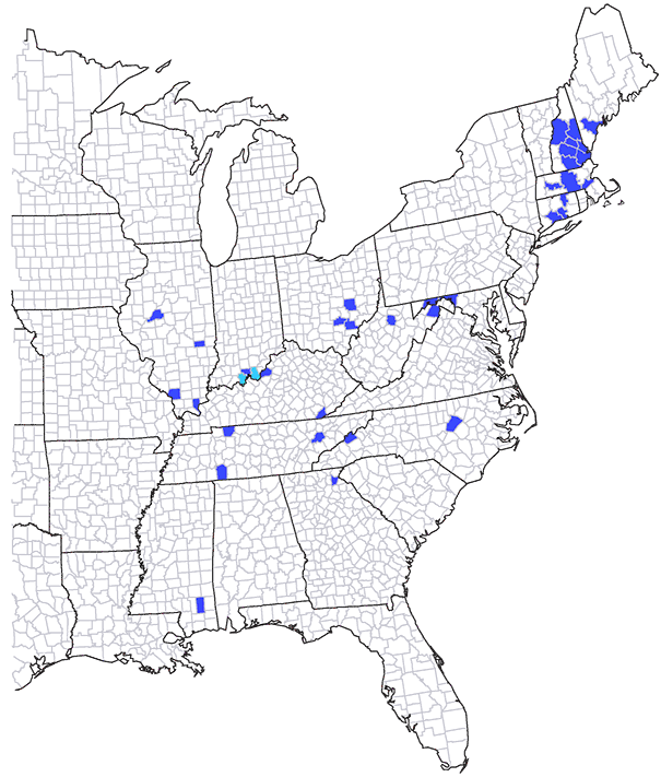 distribution of Flexamia clayi (Cicadellidae)