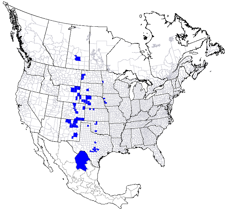 Range map of the cicadellid Flexamia dakota