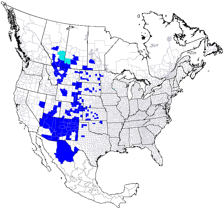 Range map of the cicadellid Flexamia flexulosa