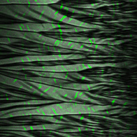 cover page, PhysRevLett