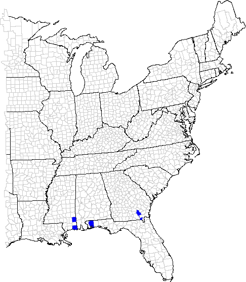 Geographic distribution of the leafhopper Flexamia satilla