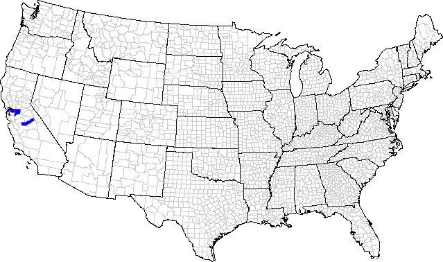 Geographic distribution by county for the leafhopper Athysanella (Amphipyga) nigrofascia