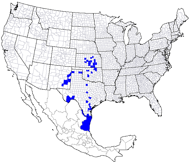 distribution of leafhopper Athysanella (Pectinapyga) texana