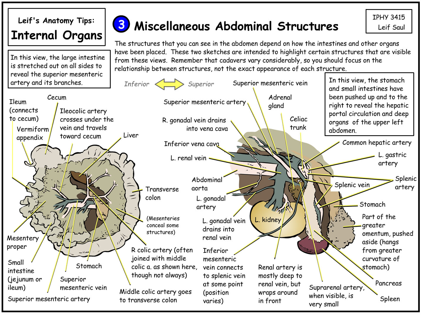 miscellaneous views of the abdomen