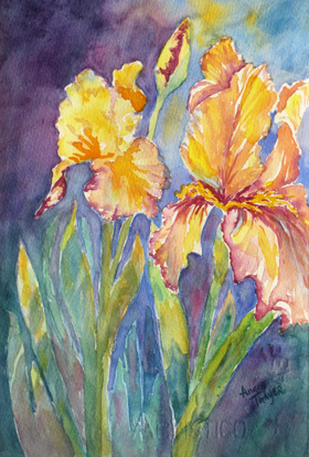 Yellow Irises - 11x14