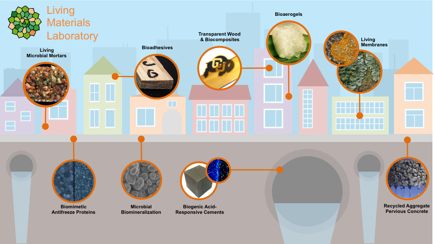 Engineered living biomaterials